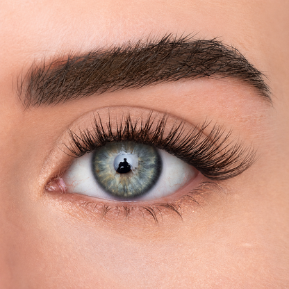 Evi Cosmetics CHELSEA light volume DIY press-on lashes MIX BOX